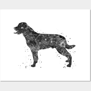 Rottweiler dog black and white Posters and Art